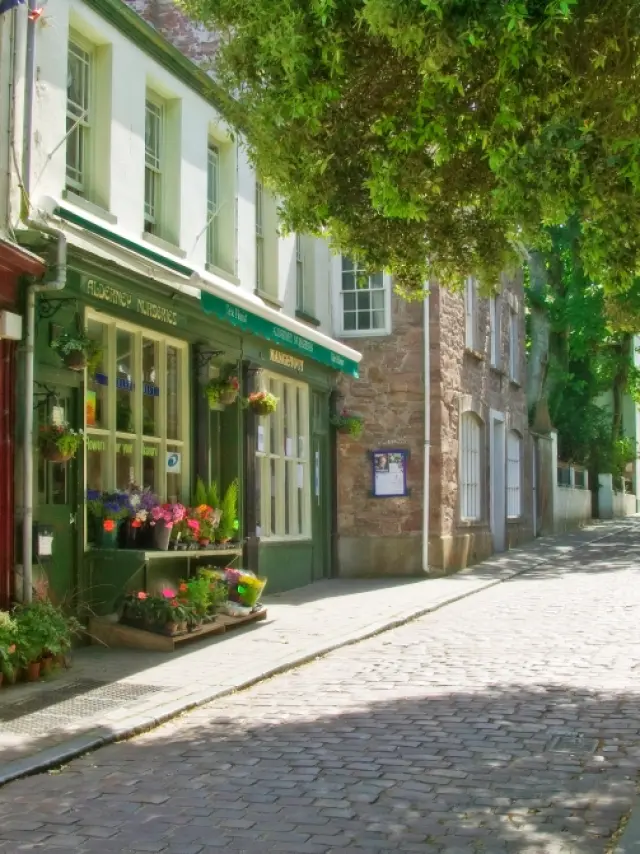 Rue pavée bordée de boutiques et d'arbres à Aurigny