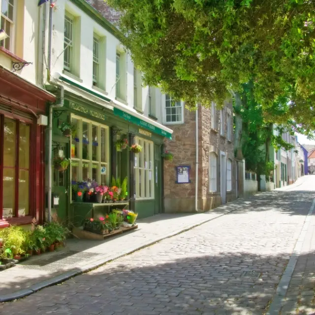 Cobblestone street lined with shops and trees