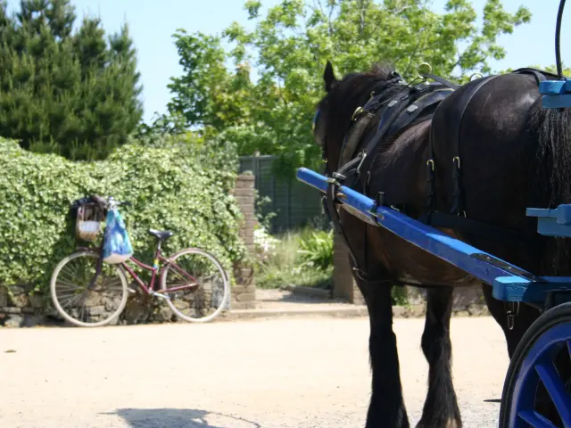 A horse harnessed to a blue cart and a cyclist on a country path