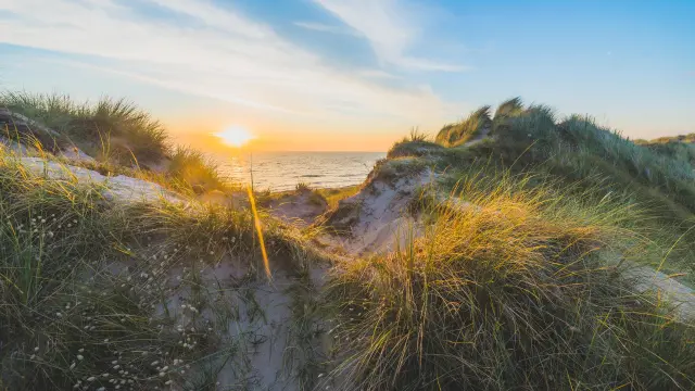 Sonnenuntergang auf einer grasbewachsenen Düne mit dem Meer im Hintergrund