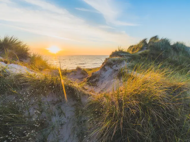 Couchant sur une dune herbeuse avec la mer en arrière-plan