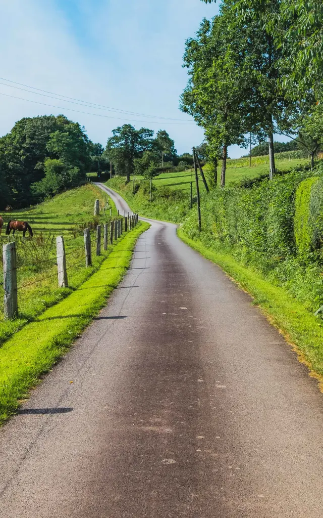 Route sinueuse bordée de verdure et de clôtures en bois dans le bocage