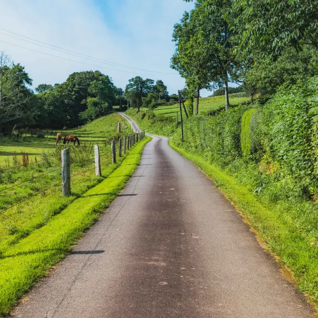 Route sinueuse bordée de verdure et de clôtures en bois dans le bocage