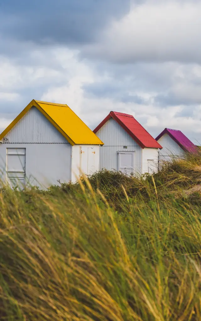 Colorful beach huts lined up on a grassy dune