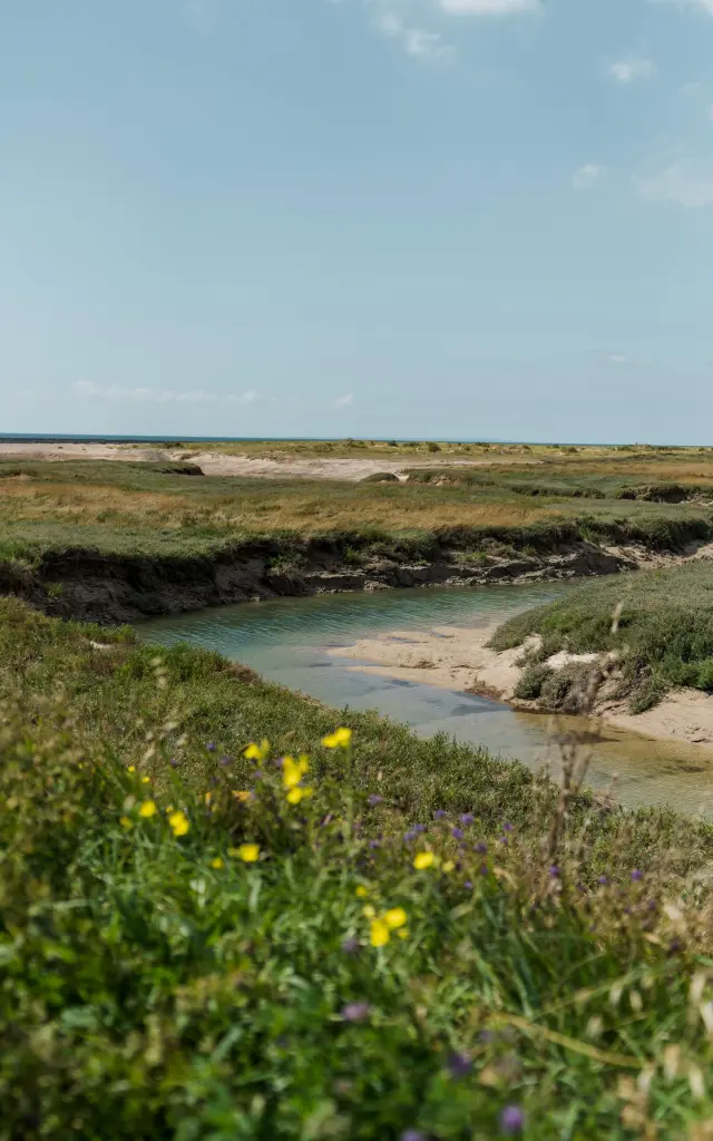 A meandering river flows through a natural landscape with wildflowers