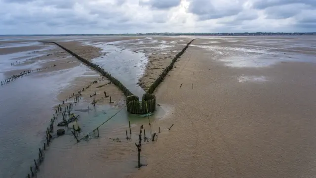 Pêcherie La Maillard à Hauteville sur Mer