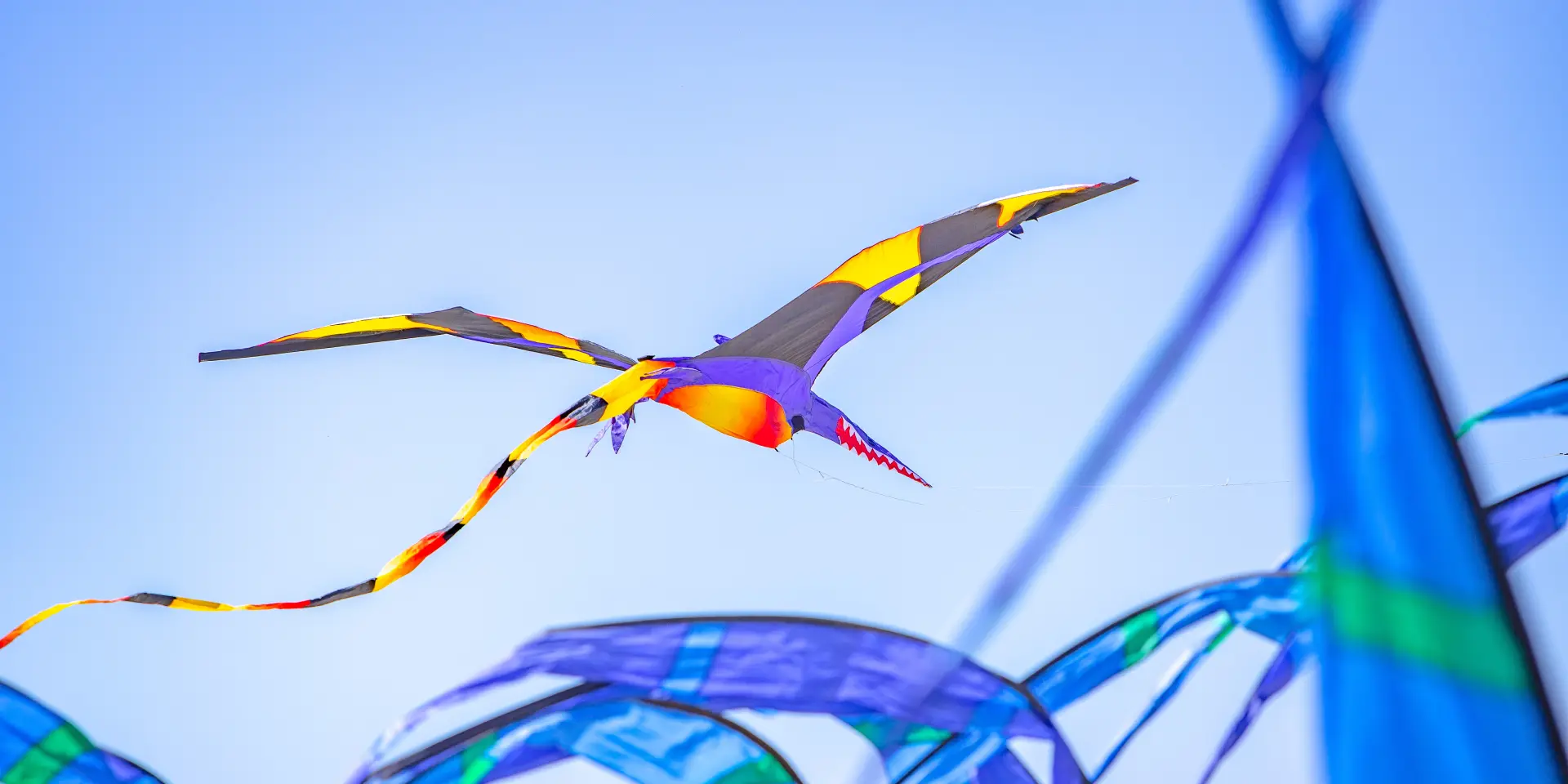 Cerf-volant en forme d'oiseau aux couleurs vives en vol dans le ciel à Agon-Coutainville