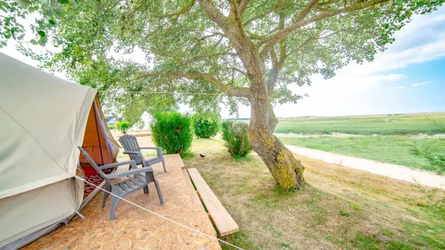 Tente de camping avec des chaises sous un grand arbre au camping du havre de Regnéville