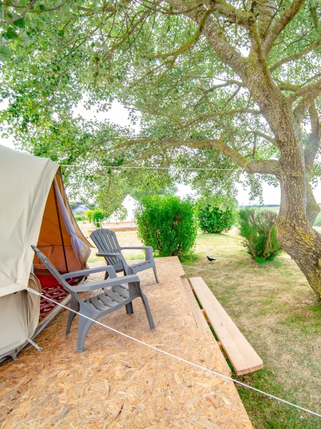 Tente de camping avec des chaises sous un grand arbre au camping du havre de Regnéville