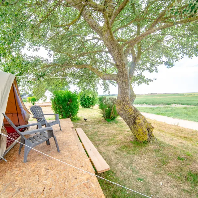 Tente de camping avec des chaises sous un grand arbre au camping du havre de Regnéville