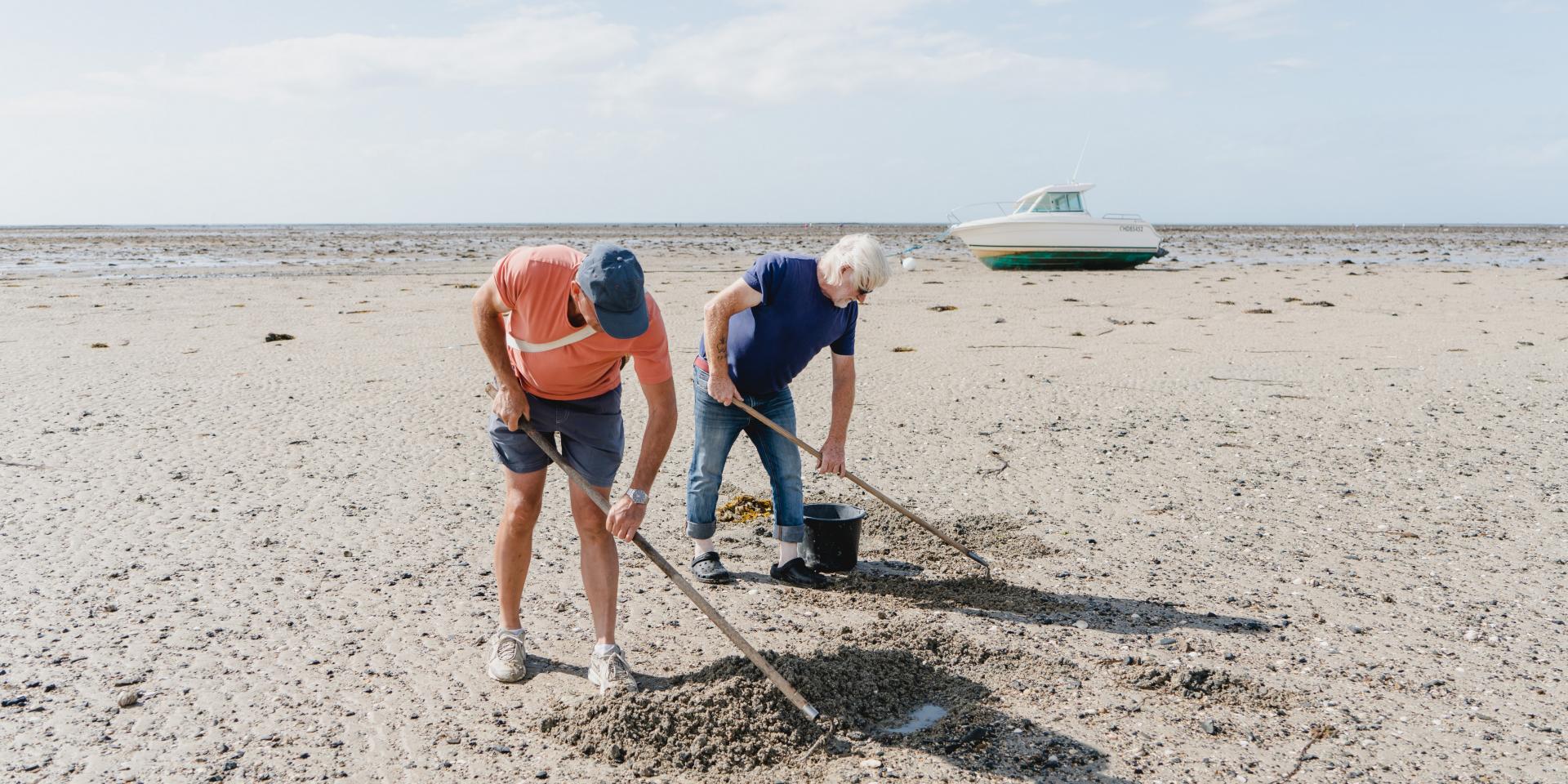 Deux personnes ramassent des coquillages sur une plage