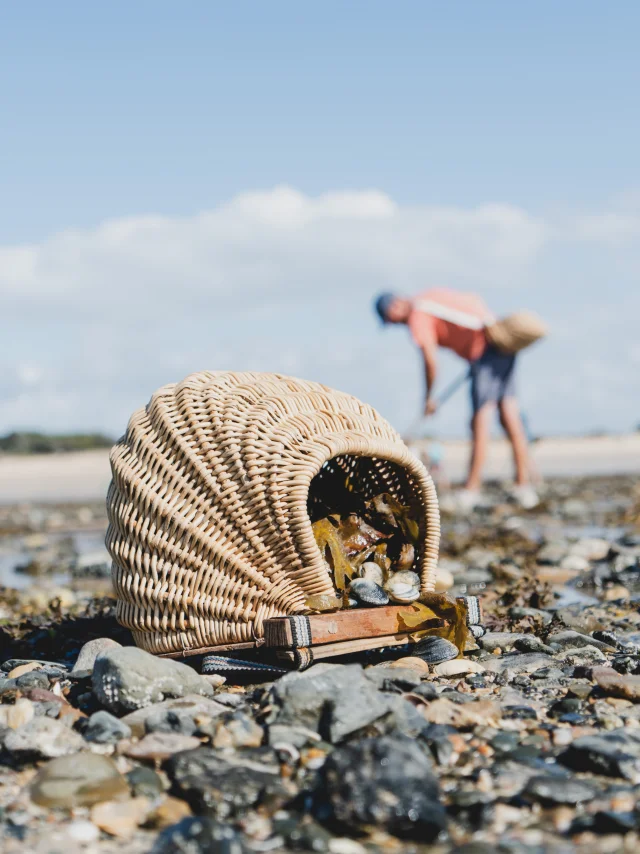 A wicker basket filled with shells on a pebble beach