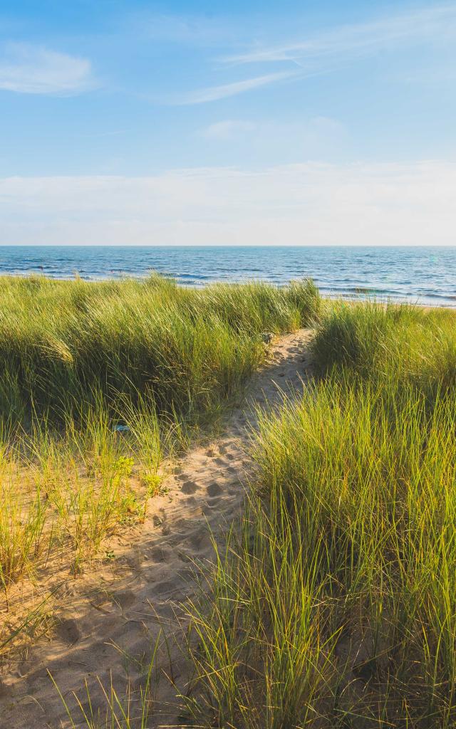 Sentier menant à la plage d'Annoville