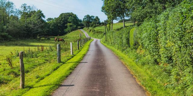 Winding road bordered by greenery and wooden fences