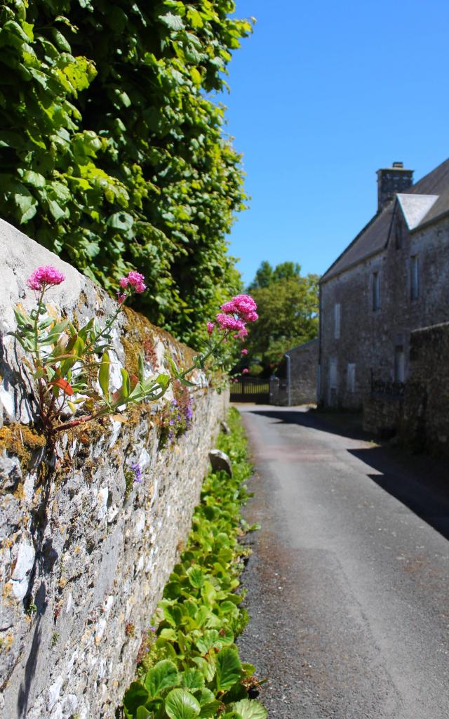 A narrow street lined with stone walls featuring pink flowers and green plants