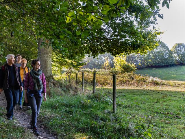 Groupe de personnes marchant dans un chemin de campagne à Coutances mer et bocage