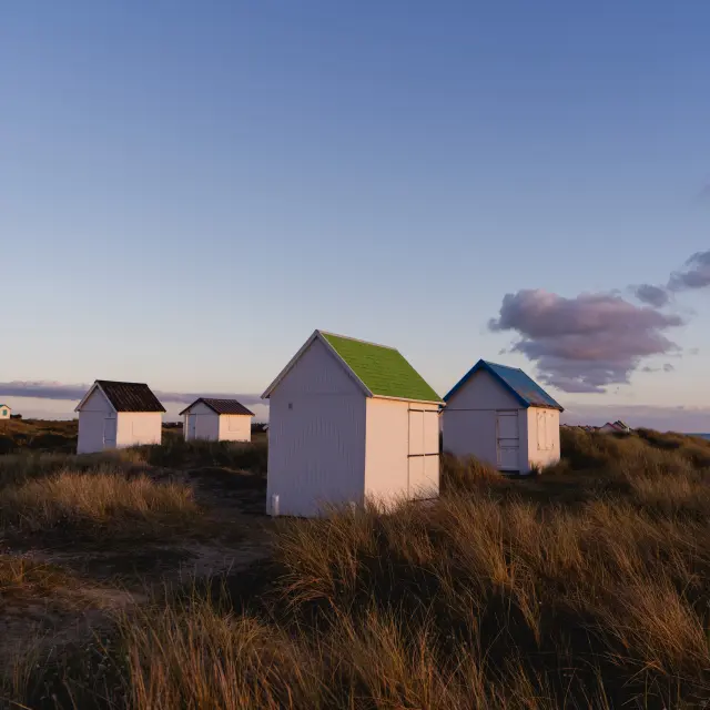 Four beach huts with colorful roofs on a grassy dune
