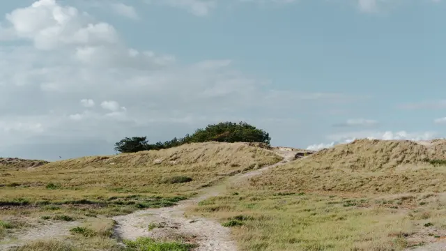 A dirt path crosses grassy dunes under a blue sky with white clouds