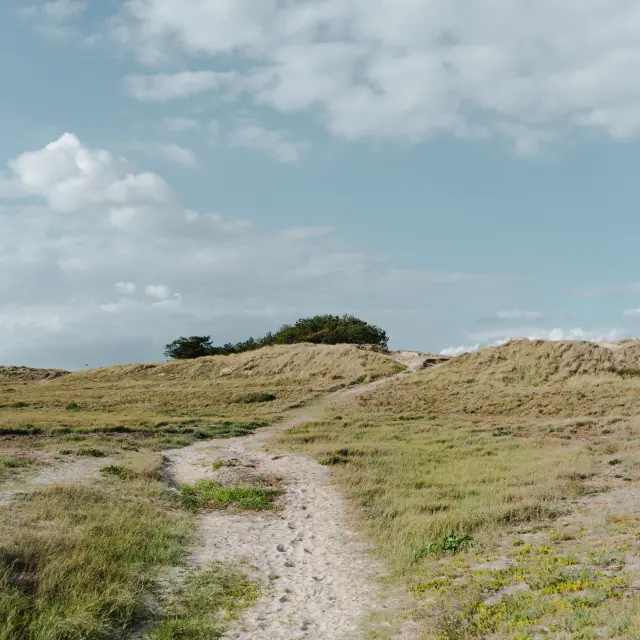 A dirt path crosses grassy dunes under a blue sky with white clouds