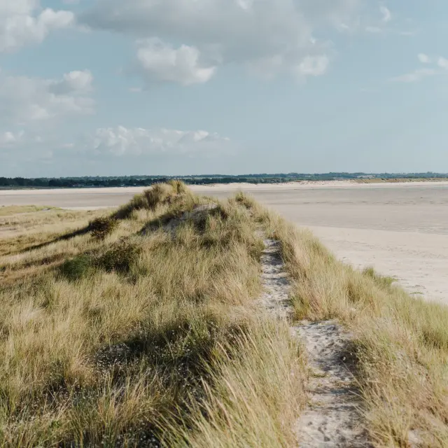 Sand path leading to a deserted beach under a cloudy sky