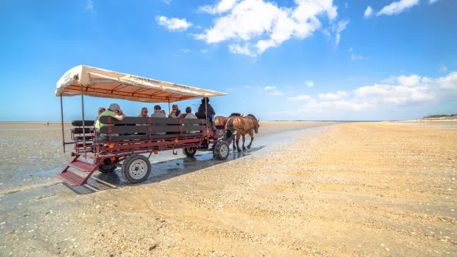 A group of people on a horse-drawn carriage ride on a deserted beach