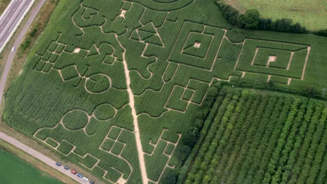 Vue aérienne du labyrinthe de Maïs