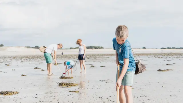 Quatre enfants cherchant des coquillages sur une plage à Agon-Coutainville