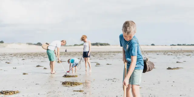 Quatre enfants cherchant des coquillages sur une plage à Agon-Coutainville