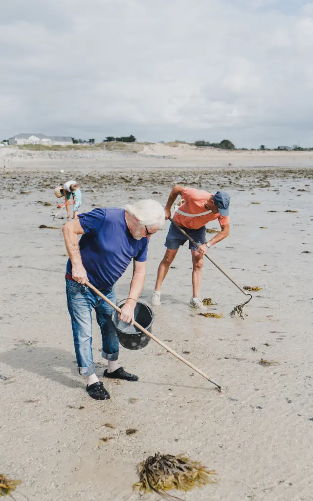 Deux personnes ramassant des coquillages sur une plage avec des râteaux et des seaux