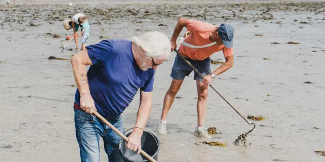 Deux personnes ramassant des coquillages sur une plage avec des râteaux et des seaux