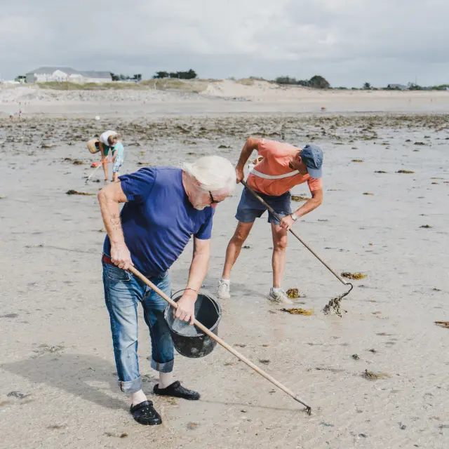 Deux personnes ramassant des coquillages sur une plage avec des râteaux et des seaux