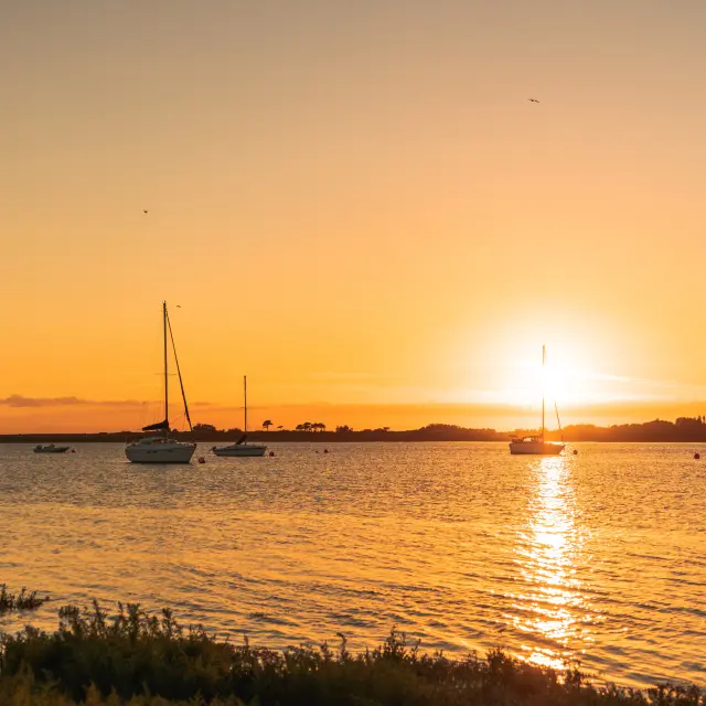 Boats on the water at sunset