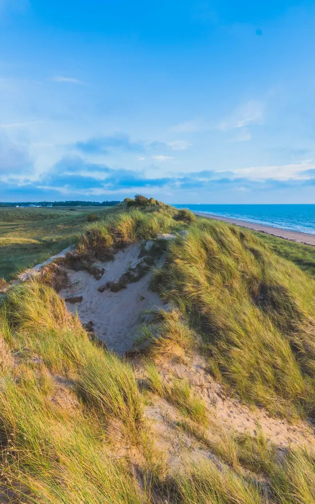 Dunes d'Annoville