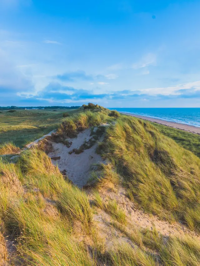 View of sand dunes leading to a beach and the ocean
