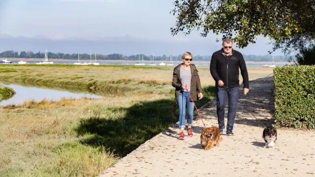 Zwei Personen gehen mit zwei Hunden auf einem Weg