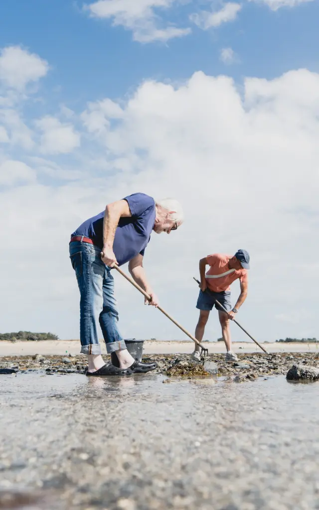 Deux personnes ramassent des coquillages durant la pêche à pied sur une plage à marée basse à Agon Coutainville