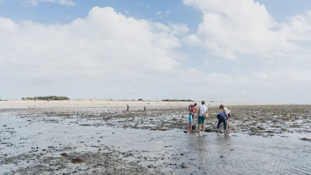 Group of people walking on a beach at low tide