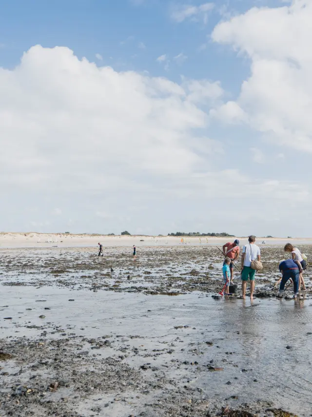 Groupe de personnes marchant sur une plage à marée basse et faisant de la pêche à pied à Agon Coutainville
