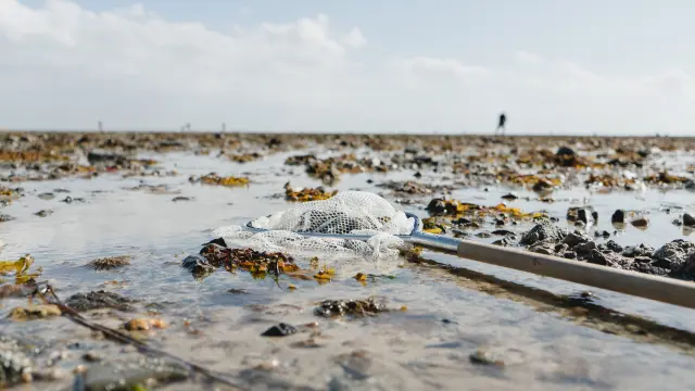 Filet de pêche posé sur le sable durant la marée basse à Agon Coutainville