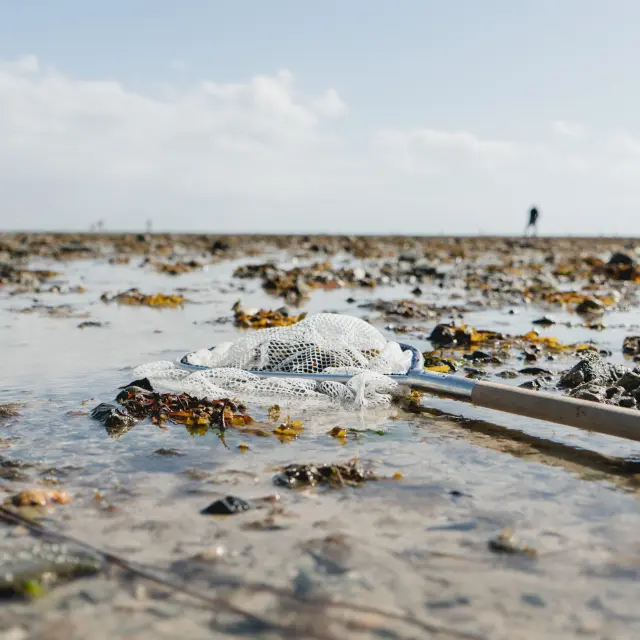 Filet de pêche posé sur le sable durant la marée basse à Agon Coutainville