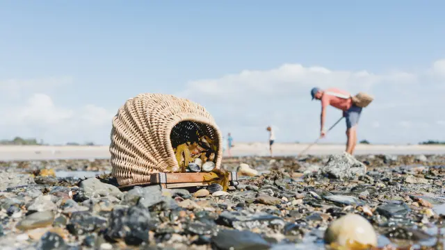 A fisherman gathering shells on a rocky beach