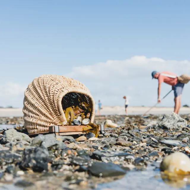 Un pêcheur ramassant des coquillages sur une plage durant la marée basse à Agon-Coutainville