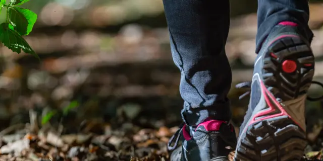 Pieds en marche dans une forêt avec des feuilles mortes au sol