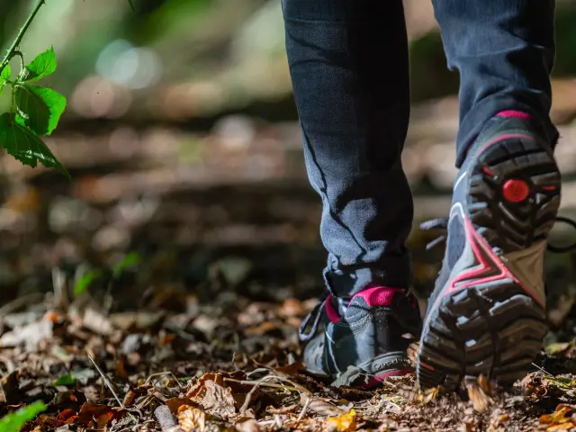 Pieds en marche dans une forêt avec des feuilles mortes au sol