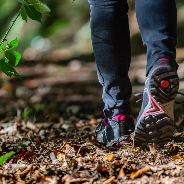 Füße beim Wandern im Wald mit Laub auf dem Boden
