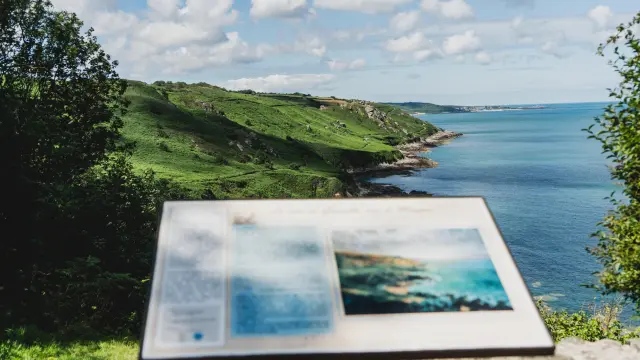 Coastal landscape with an information sign in the foreground