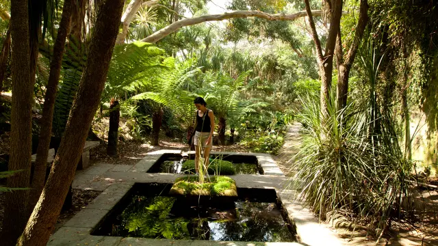 Person standing near a fountain in a tropical garden