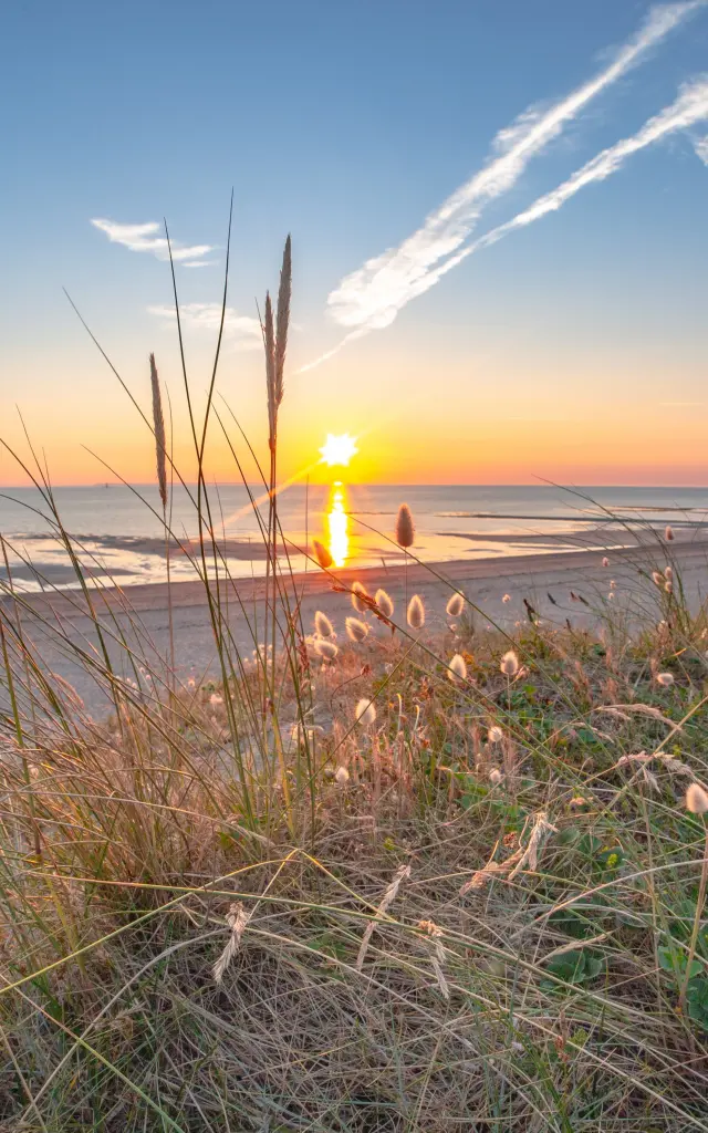 Couchers de soleil sur la plage avec des herbes hautes à Agon-Coutainville