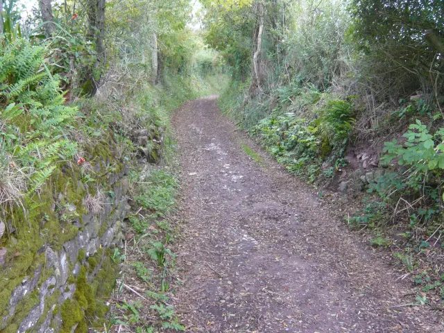 Muret et chemin creux de Regnéville sur Mer