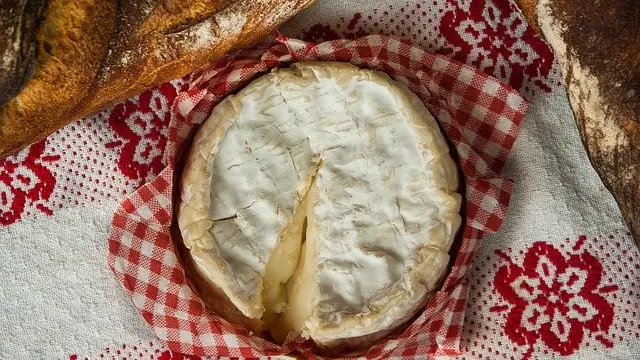 Fromage à pâte molle sur un torchon à carreaux